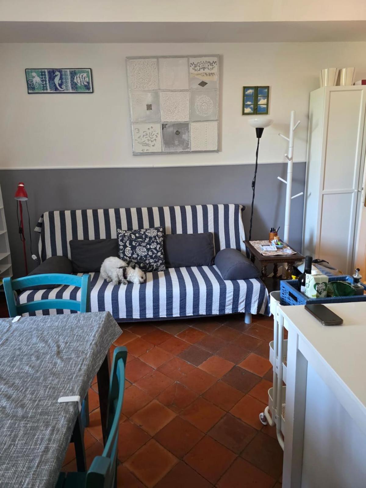 The Shell - New Interior Look But Same Old Charme 200Mt From The Sea With Garden And Parking Nearby Lägenhet Imperia Exteriör bild