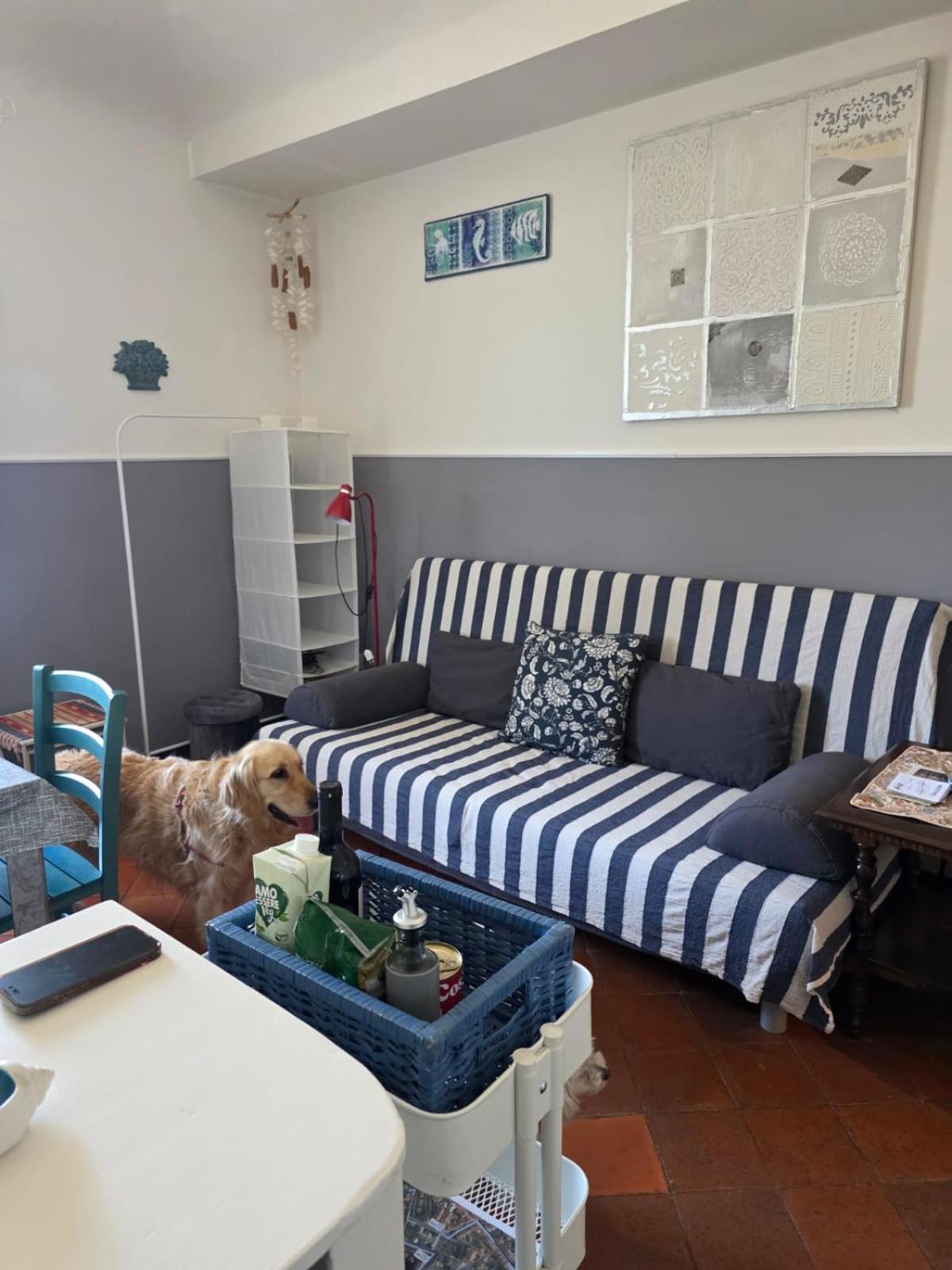 The Shell - New Interior Look But Same Old Charme 200Mt From The Sea With Garden And Parking Nearby Lägenhet Imperia Exteriör bild